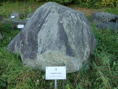 Vergrünter Gneis-Stein aus dem Julier- oder Albulagebirge
