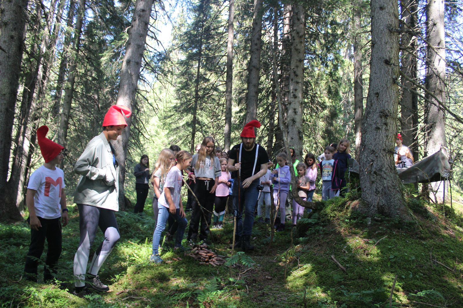 Die Zwerge in ihrem Zwergenwald